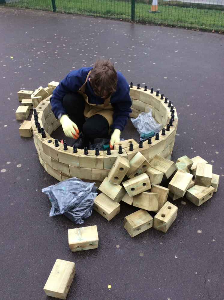 pupil sits inside the structure to build it up further